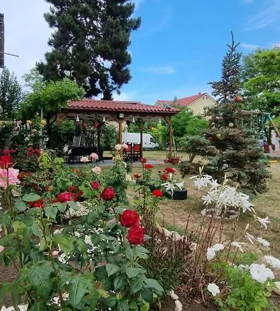 Rusidava Eforie Nord