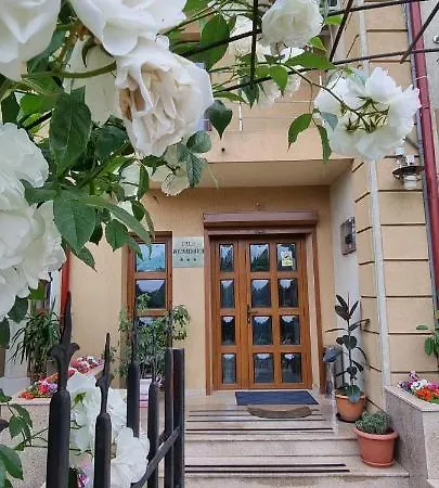 Rusidava Pensiune 3*